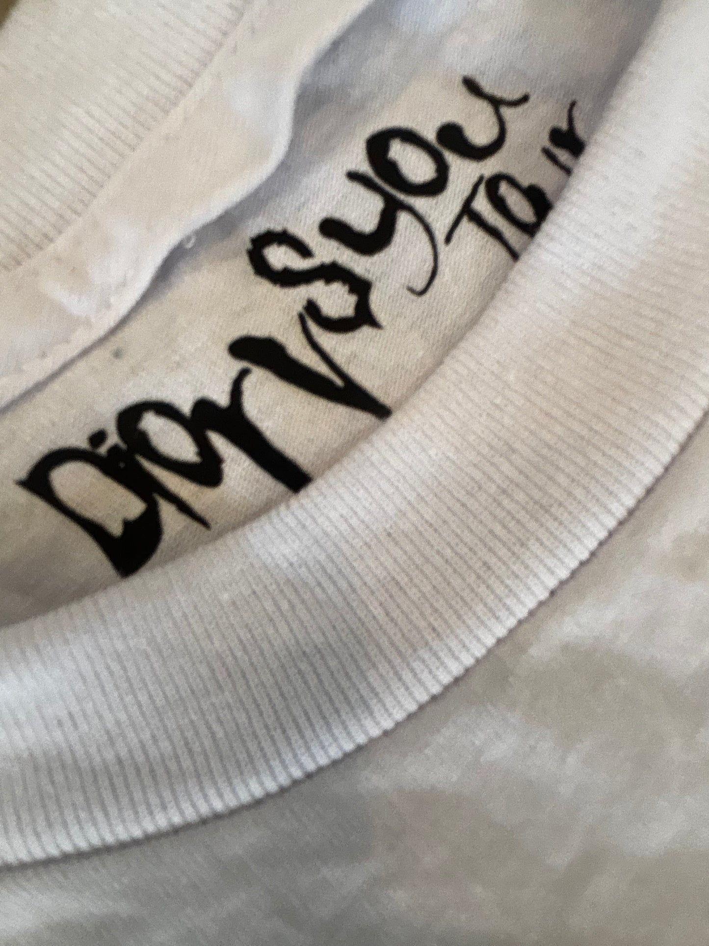 Dior vs you unreleased tour merch “beevus and butthead”