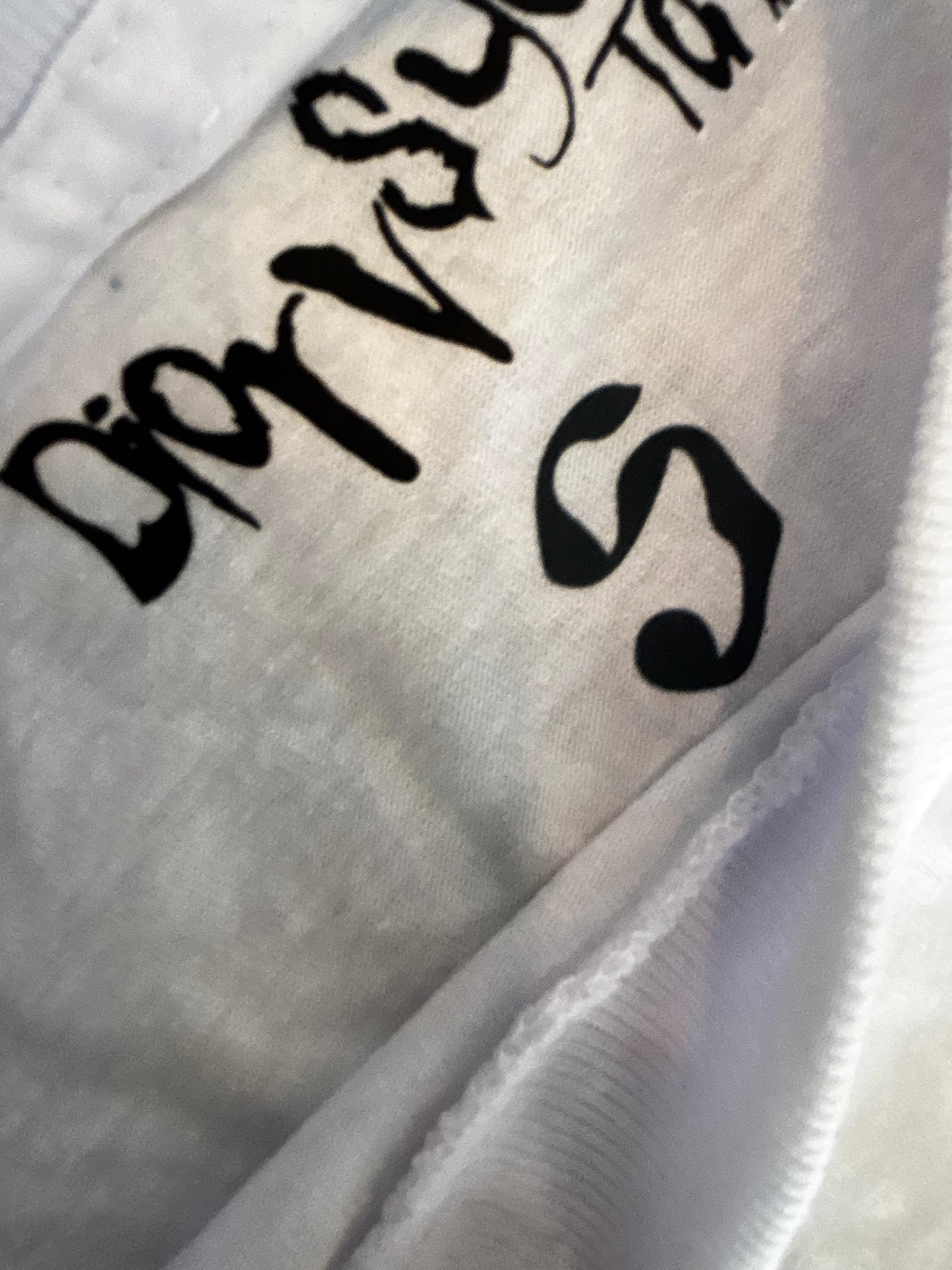 Dior vs you unreleased tour merch “beevus and butthead”