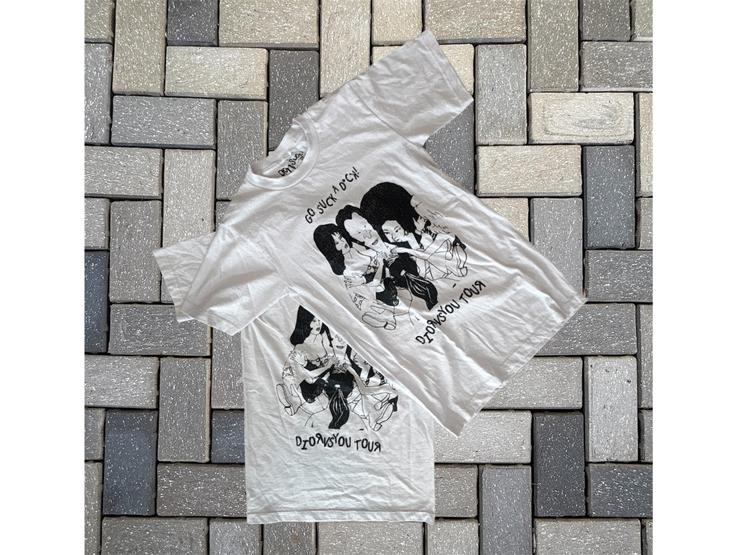 Dior vs you unreleased tour merch “beevus and butthead”