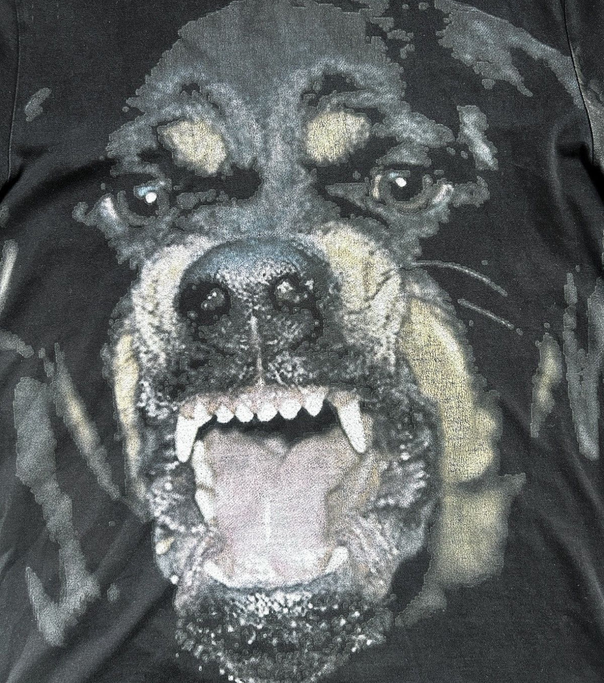 Givenchy Rottweiler tee